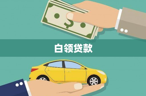 卓尼白领贷款