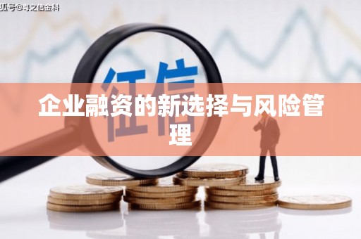 卓尼企业融资的新选择与风险管理