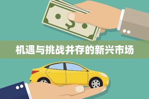 卓尼机遇与挑战并存的新兴市场