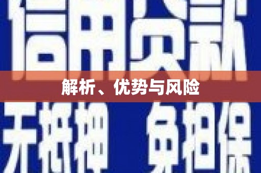 卓尼解析、优势与风险