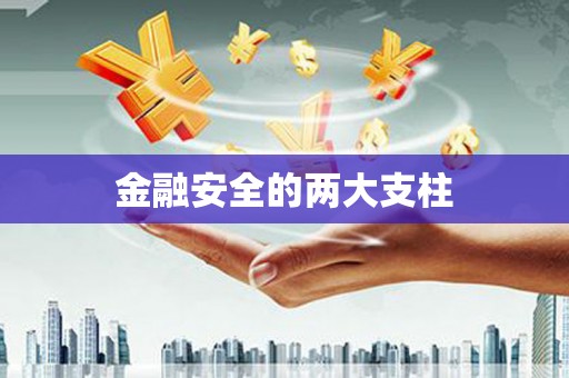 卓尼金融安全的两大支柱