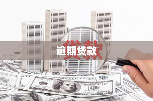 卓尼逾期贷款