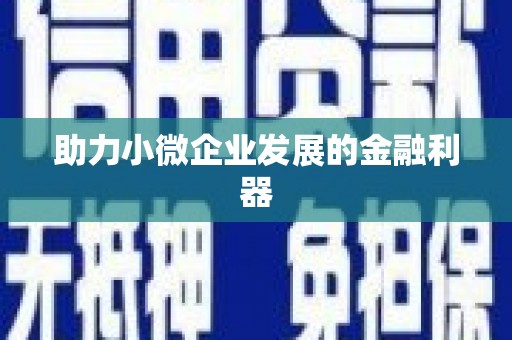 卓尼助力小微企业发展的金融利器