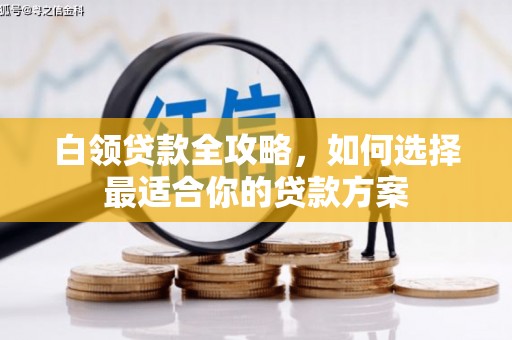 卓尼白领贷款全攻略，如何选择最适合你的贷款方案