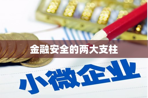 卓尼金融安全的两大支柱