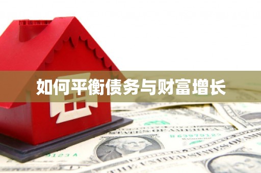 卓尼如何平衡债务与财富增长