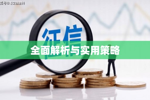 卓尼全面解析与实用策略