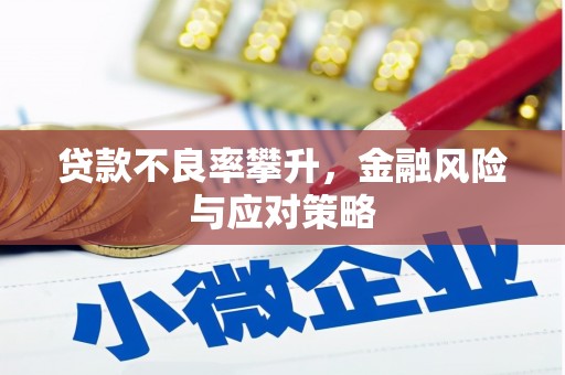 卓尼贷款不良率攀升，金融风险与应对策略